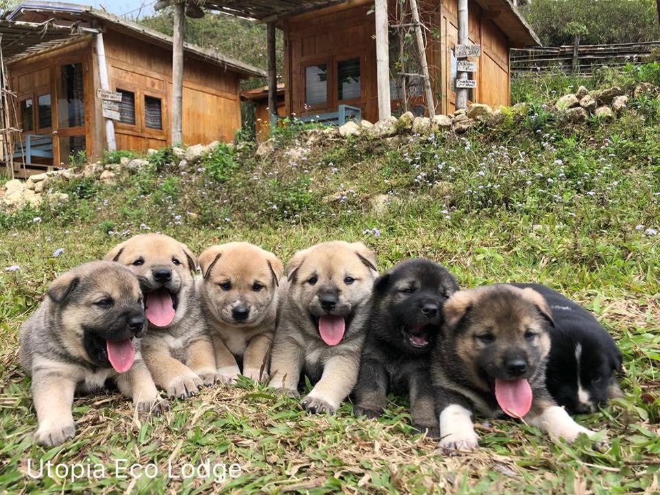 Utopia Eco Lodge Sa Pa Kültér fotó